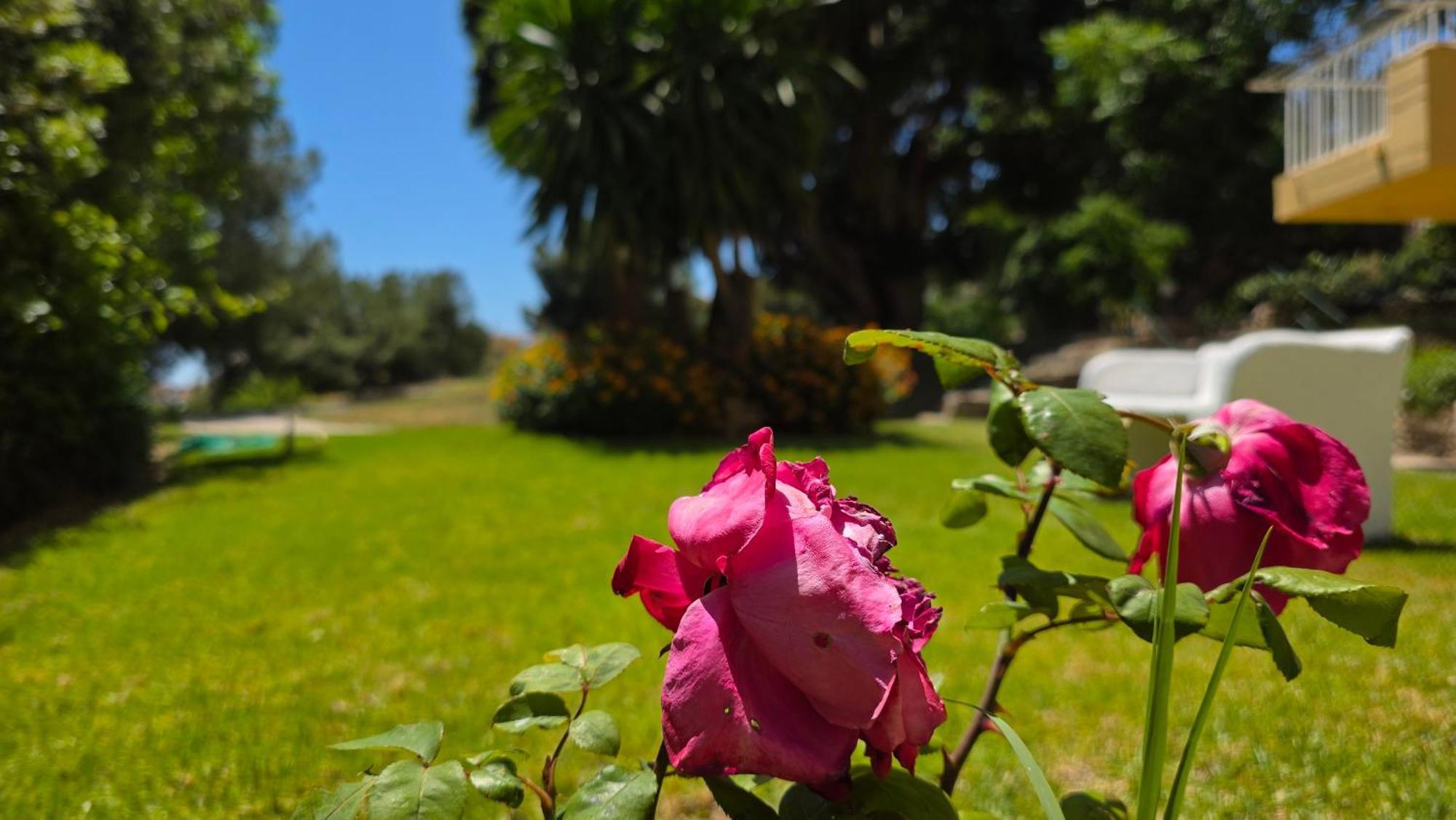 Appartement Estudio En Benalmádena